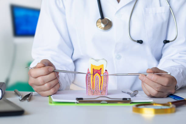 Best Emergency Dental Services for Seniors in Pomona Park, FL